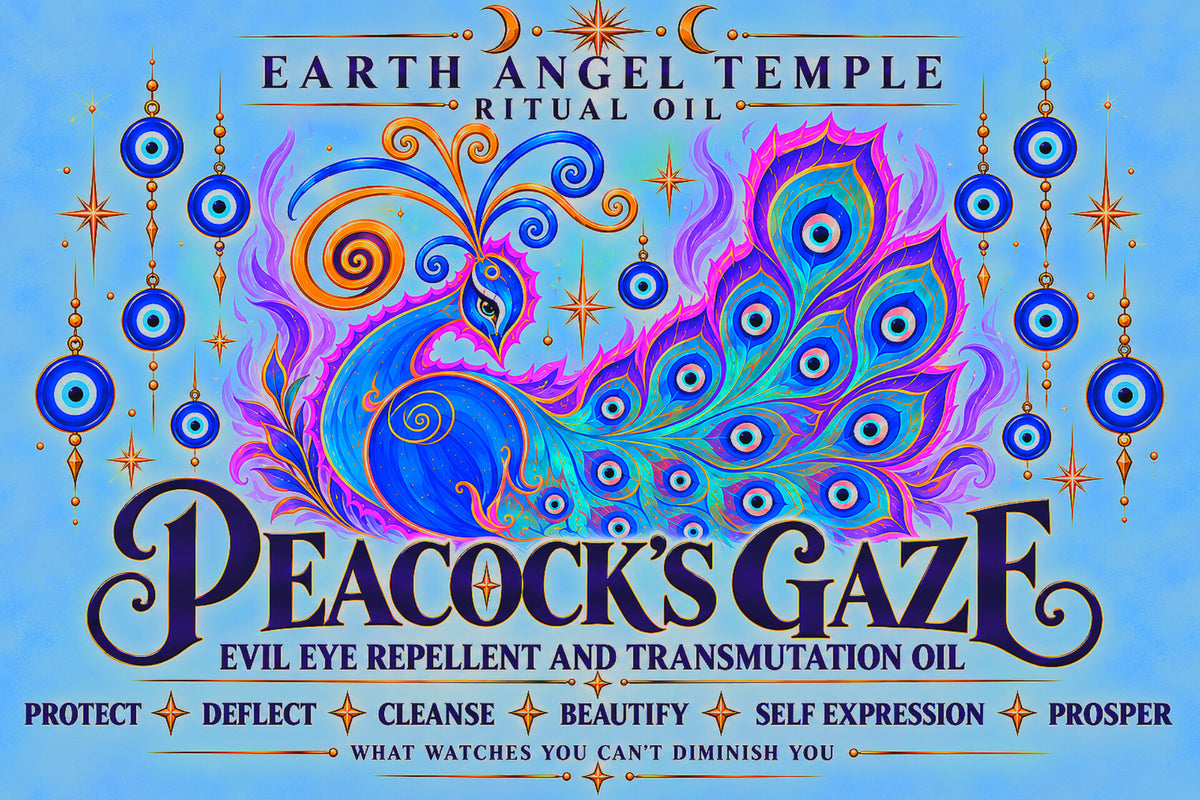 PEACOCKS GAZE